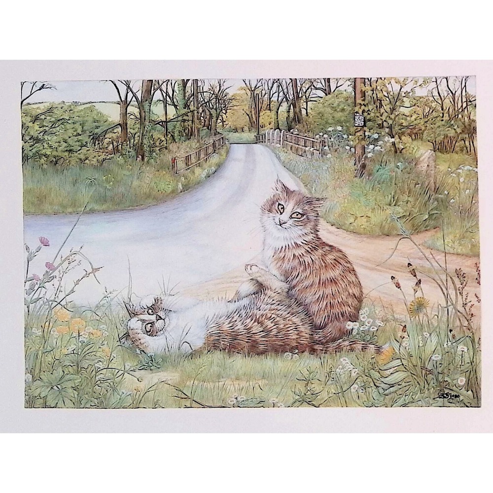 1982 Zoe's Cats Country Road Vintage Book Print Kitten Wall Art Decore Cat Lover